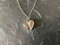 Sterling Silver Heart Shape Necklace with Horse Hair/ Fur or Ashes
